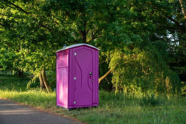 Best Emergency porta potty rental  in Hinckley, IL